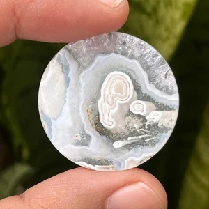 31.40 Ct Orbicular Agate Cabochon 31x31x3mm High Quality Moss Agate Orbicular - Picture 1 of 4