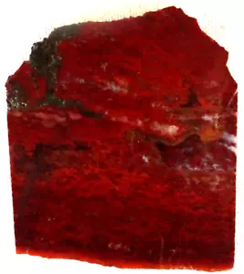 Filament Agate Slab - 75 Grams - Red - White - Gold - Mexico - Jasper - Picture 1 of 2