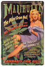  ''Pinup Marihuana'' 20x30cm Blechschild