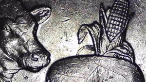 2004-D Wisconsin Quarter *ERROR* Extra Leaf Low. *RARE* Circulated (1) - Picture 1 of 7