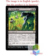Magic The Gathering MTG JPver Foil Shriveling Rot DST Rare