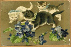Latvia 1908 Greetings for Birthday Postcard w/Doblen(Dobele) & Bauska Cancels - Picture 1 of 2