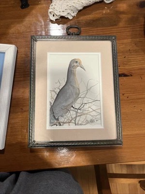 Impresión firmada por P. Buckley Moss arte 'paloma gris' 1988 enmarcado numerado 88/1000 pájaro Foto 1 de 3