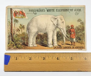 Forepaugh's Circus Elefante Bianco del Siam antica carta commerciale vittoriana 1880 - Foto 1 di 6