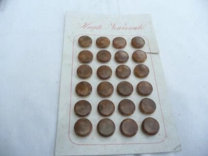 24 boutons anciens en corozo marron - Picture 1 of 3