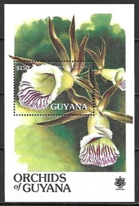 Guyana 1990 ☀ Natura - Fiori - Orchidee MSS ☀ Nuovo di zecca ** - Foto 1 di 1