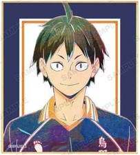 Haikyu Good Tadashi Yamaguchi Shikishi Card Japan toy Collection Kawaii S