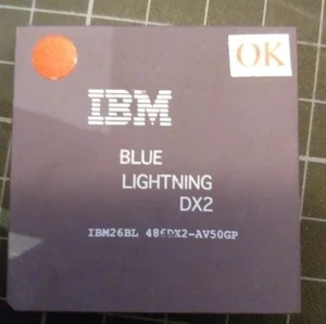 486-DX2-AV50GP BLUE LIGHTNING IBM GOLD VINTAGE SAMMLERSTÜCK RAR - Bild 1 von 1