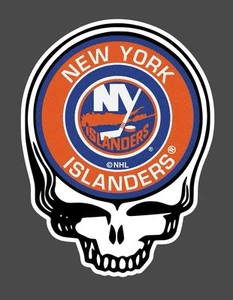 Calcomanía de vinilo para parachoques de computadora portátil resistente a la intemperie con logotipo de los New York Islanders de Nueva York - Imagen 1 de 1