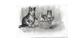CPA carte postale ancienne  Kettle cats la corbeille de chatons