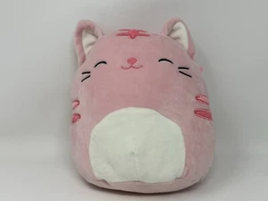 Squishmallows Paulita The Pink Cat Kellytoy Plush Toy - Used - Very Nice - Picture 1 of 7