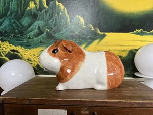 Quail Ceramics Money Box Guinea Pig Dutch - Picture 1 of 7