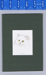 Chinchilla Cat Art Print -  5 X 7 Matted - Picture 1 of 1