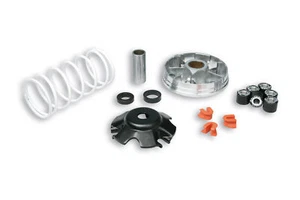 NUOVO KIT VARIATORE MALOSSI MULTIVAR MHR 519448 VESPA ET2 50 2T 2000-> - Picture 1 of 2