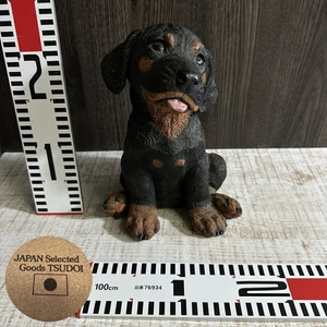 Castagna Rottweiler Puppy Italian Japanese Statue H9.1" 37.8oz 000609 - Picture 1 of 22