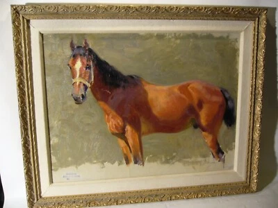 Richard Benno Adam : Reitpferd Reitsport Jockey Pferd Horse equestrian sport MUC - Bild 1 von 4