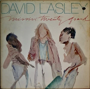 DAVID LASLEY: Missin' Twenty Grand - NM1982LP ERNIE WATT/PETE CITIESHEND+++ - Bild 1 von 1