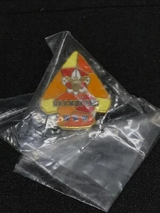 BSA Order of the Arrow Recruiter Award Hat/Lapel Pin - Picture 1 of 2