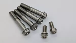 Aprilia RSV4 09-16 Stainless steel drilled full brake caliper mounting bolt kit - Picture 1 of 4
