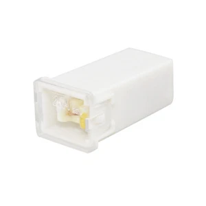 25A AMP J CASE STANDARD FUSE FUSE CARTRIDGE CAR AUTO FUSE White COPPER PLASTIC - Picture 1 of 3