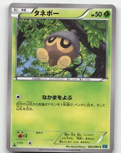 Seedot #005/080 Non Holo Pokemon Wild Blaze Near Mint or Better - Picture 1 of 2