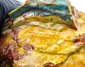 4.6oz Gary Green Jasper Bog Wood Larsonite Caldera Freedom Stone Rough Natural - Picture 1 of 11