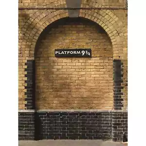 Platform 9 3/4 Train Large Printed Fabric Photo Wall Backdrop 200cm X 150cm - Picture 1 of 2