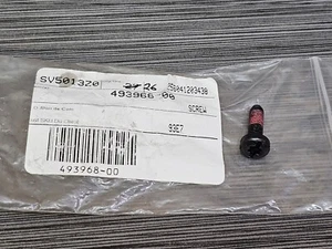 DeWalt OEM Part 493968-00 Screw for Breaker Hammer D25960 D25980 - Picture 1 of 5