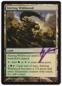 Stirring Wildwood ARTIST SIGNED Eric Deschamps 2010 Worldwake Land MTG NM AZ1 - Picture 1 of 2
