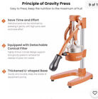 Premium Quality Manual Orange Juicer Heavy Duty Lime Squeezer Press Stand PET