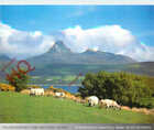 Picture Postcard; Isle of Arran, Goat Fell and Brodick Castle