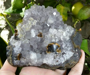 Top Goethite & Amethyste sur Galène 11x11cm minéraux collection pierre rare soin - Foto 1 di 9