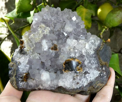 Top Goethite & Amethyste sur Galène 11x11cm minéraux collection pierre rare soin - Photo 1/4