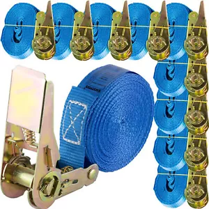 Spanngurt einteilig 4m - 6m lang 25mm breit 800 Kg daN Blau Zurrgurte Spanngurte - Bild 1 von 11