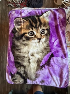 Northwest Co. Greg Cuddiford Kittens and Feathers Fleece Throw Blanket 50”x59” - Picture 1 of 1