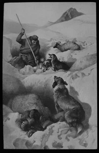 ANTIQUE Magic Lantern Slide THE LOST SHEEP C1890 SHEEPDOG DOGS - Picture 1 of 2