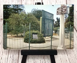 Riverside Kalifornien CA Elternteil Washington Nabel Orangenbaum Postkarte - Bild 1 von 4
