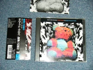 DAVID CROSS Japan 1994 PCCY-00631 NM CD + Obi TEST AUF ZERSTÖRUNG - Bild 1 von 5
