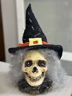 Fiber Optic Skull Skeleton Halloween  Prop Color Changing Witch Decor