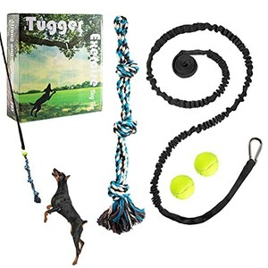 tether ball dog toy
