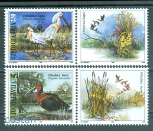 1996 Birds,Spoonbill,glossy ibis,European Nature Protection,Yugoslavia,2781,MNH - Picture 1 of 1