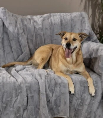 Manta impermeable para mascotas y protector de muebles Brentwood Originals de gran tamaño Foto 1 de 3