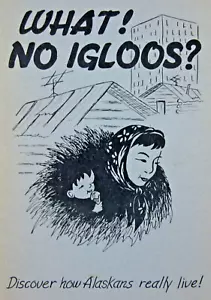 Alaska History Fairbanks Housewife Dairy Journal P.E.O. Sisterhood Booklet 1955 - Picture 1 of 10