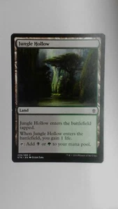Jungle Hollow - KTK - LP - KTK235021725 - Picture 1 of 2