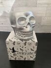 Owlcrate Exclusive Skull Planter