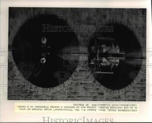 1993 Press Photo Cuyahoga Falls Ohio - cvb01132 - Picture 1 of 2