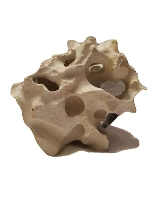 Conceptos de coral profesional azul profundo. Réplica-corales. Decoraciones de acuario. Foto 1 de 4