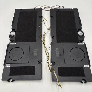 Roku 55R8BX TV Replacement Left and Right Internal Speakers with Wires - Imagen 1 de 9