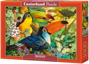 Castorland Jigsaw Puzzle 3000 Pieces Interlude - Picture 1 of 2