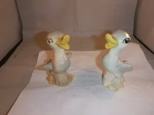 Agitatore sale e pepe Waddling Ducks con tappi - Foto 1 di 6